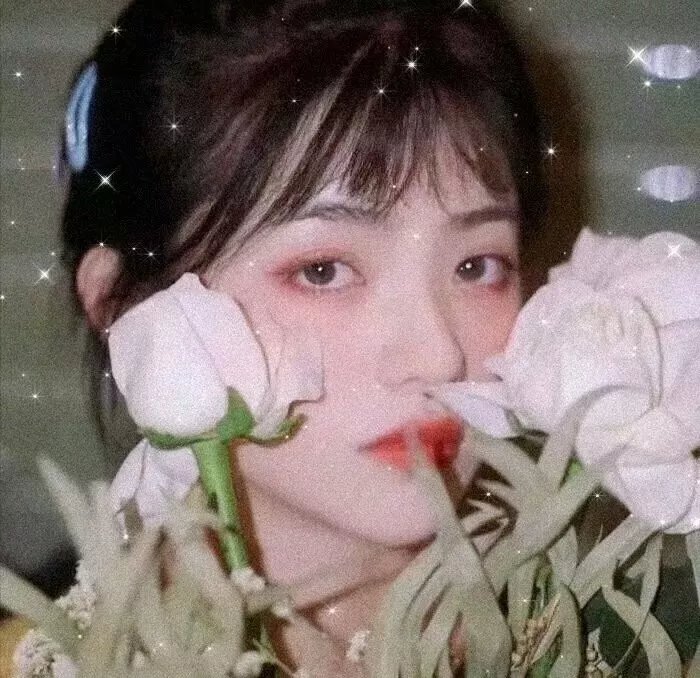 口碑推荐